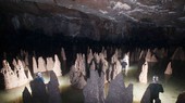 Phong Nha-Ke Bang National Park topped the list of “Most Hospitable Destination” in Vietnam via annual Traveler Review Awards 2020 announced by Booking.com.