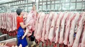 Ho Chi Minh City lower saleprices of pork