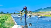Northern, Central regions to face peak hot temperature of 41 degrees Celsius
