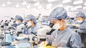 Around 150,000 employees come back to HCMC