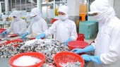 Vietnamese enterprises to expand export opportunities to Australia