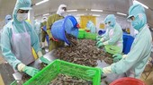 Seafood export takes larger bite out of foreign markets