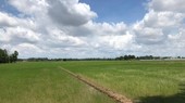 Dong Nai hands over 750 hectares of public land to Land Fund Development Center