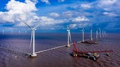 Tra Vinh, Ben Tre develop sea-based economy