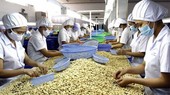 Exporters urged to improve quality of farm produce to compete globally
