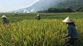 Dry weather in Northern region favorable for wedding, tourist activities