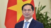 Vietnam ready to contribute more to UN peacekeeping operations: Minister