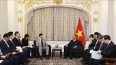 President wishes RoK groups to invest more in Vietnam