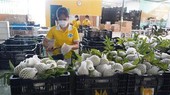 Business association helps connect Vietnamese, Malaysian firms