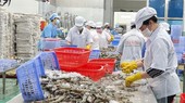 Agro-forestry-fishery exports set new record in 2022
