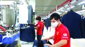 Enhancing coherence between FDI and domestic businesses