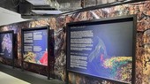 Multimedia installation exhibition celebrates Vietnam-Australia diplomatic ties