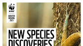 Vietnam discovers 158 new species during 2021-2022