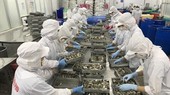Government support helps aquaculture industry weather difficulties
