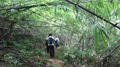 Rare wood species found in forest planned for reservoir project