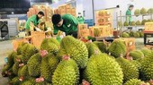 Veggie, fruit exports to China enjoy double-digit growth rate