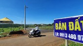 Đất nông nghiệp được rao bán tại tỉnh Lâm Đồng. Ảnh: ĐOÀN KIÊN
