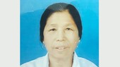 Bắt giữ người phụ nữ lừa đảo gần 14 tỷ đồng bị truy nã