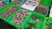 Hải sản tươi sống tại TP Vũng Tàu hút khách trong các ngày Tết