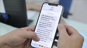 (示意图:越通社)