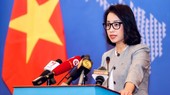 外交部副发言人范秋姮。(图:VOV)