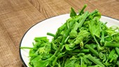 龙须菜5大功效