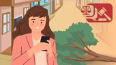 邻居的树倒在我家的院子里,但他们拒绝处理。