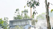 Phạt Công ty Sông Hậu 50 triệu đồng liên quan đến lĩnh vực môi trường