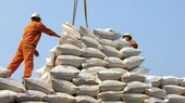 Workers pile up rice bags