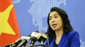 The Foreign Ministry’s Spokeswoman Le Thi Thu Hang (Photo: VNA)