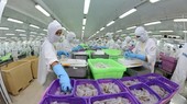 Shrimp processed for export (Photo: VNA)