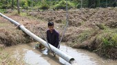 The man pumps fresh water from canals to a reservoir in his field to water plants (Photo: SGGP)