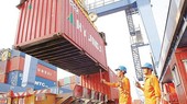 City leader requires customs agency to better service to boost economic growth