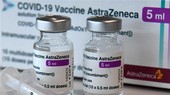 VN supports equitable Covid-19 vaccine distribution, human rights protection