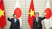 Vietnam, Japan issue joint statement