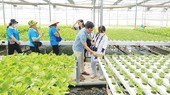 Nhà nông thời 4.0