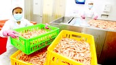 Thời cơ vàng xuất khẩu nông sản, thực phẩm chế biến