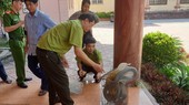 Rắn hổ mang chúa được bàn giao cho cơ quan chức năng