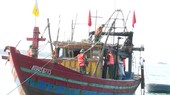 Bắt giữ thuyền đánh cá sử dụng giã cào đánh bắt hải sản sai quy định