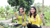 Trải nghiệm du lịch nông nghiệp ở Hậu Giang. Ảnh: TRUNG PHẠM