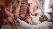 Một số quốc gia tạm ngừng nhập khẩu thịt bò của Brazil