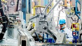Cân bằng lợi ích các bên khi áp dụng thuế tối thiểu toàn cầu