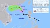 Trong khoảng 48 đến 72 giờ bão số 7 suy yếu thành áp thấp nhiệt đới