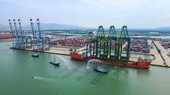 Kỳ vọng từ cảng biển