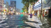 Sạt lở, ngập lụt từ rừng xuống biển - Phá sơn lâm, đâm hà bá!