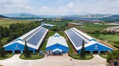 Vì sao nhà đầu tư nên chọn ít nhất 1 cổ phiếu ESG trong danh mục đầu tư?
