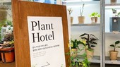 Khách sạn cây trồng Plant Hotel