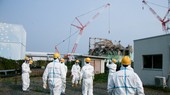 Nhà máy điện hạt nhân Fukushima Dai-ichi. Ảnh: Giovanni Verlini/IAEA