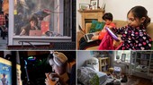 Thời gian sử dụng thiết bị điện tử tăng lên có thể dẫn đến suy giảm thị lực ở trẻ vị thành niên. Nguồn ảnh: Getty Images.