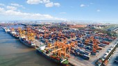 Seaport stocks fail to entice investors
